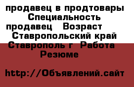 продавец в продтовары › Специальность ­ продавец › Возраст ­ 29 - Ставропольский край, Ставрополь г. Работа » Резюме   